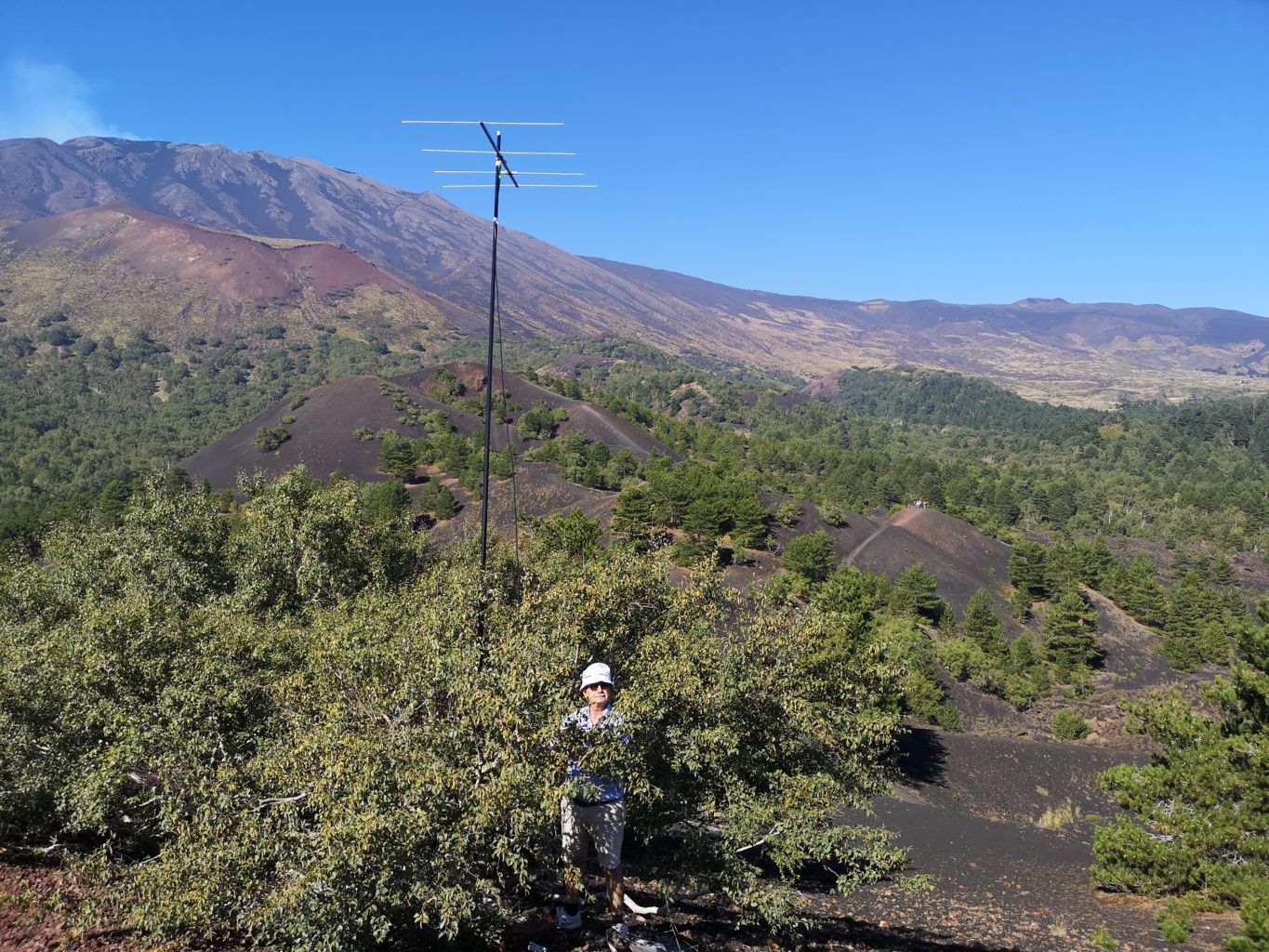 7 ANTENNA PRONTA .jpg